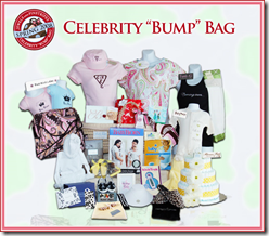 jewels and pinstripes celebrity bump bag